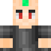 Skin de Maxent_