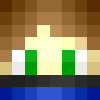 Skin de Zeldraft